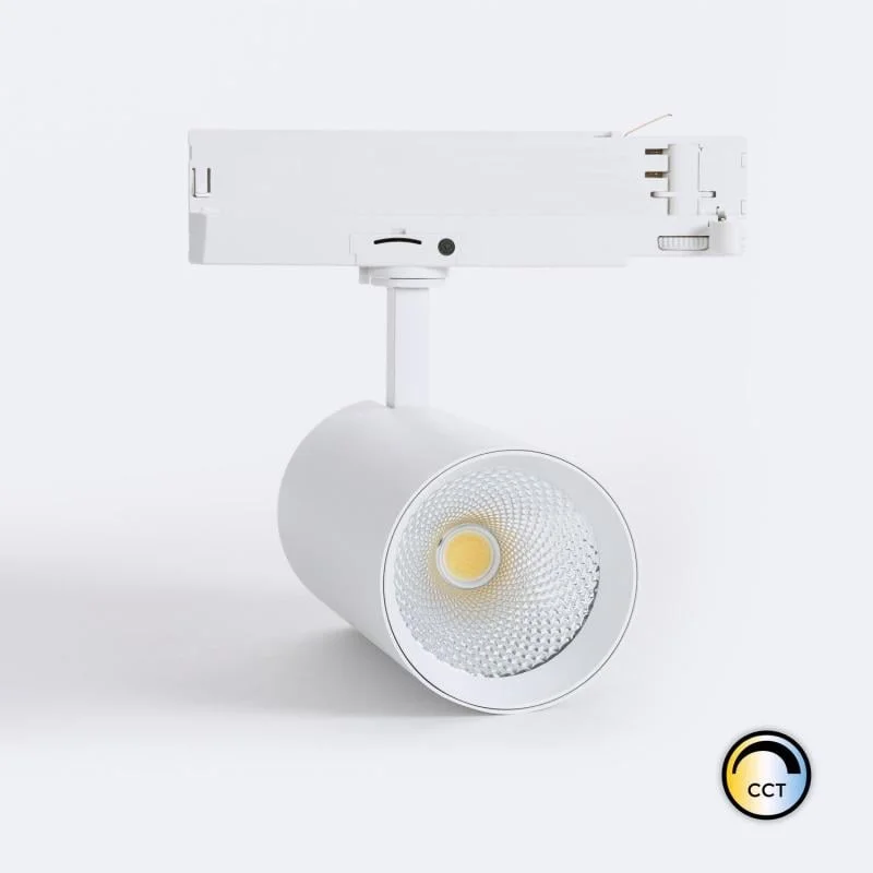 ledkia202606081848173315647