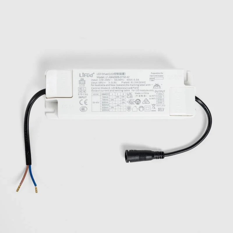 ledkia202606081858503317793