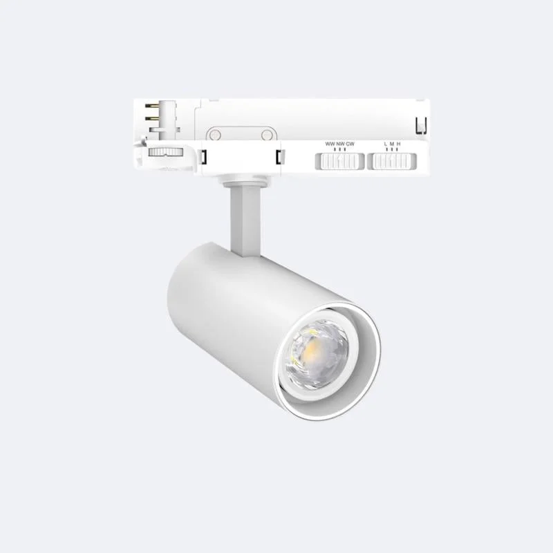 ledkia202606081904203318899