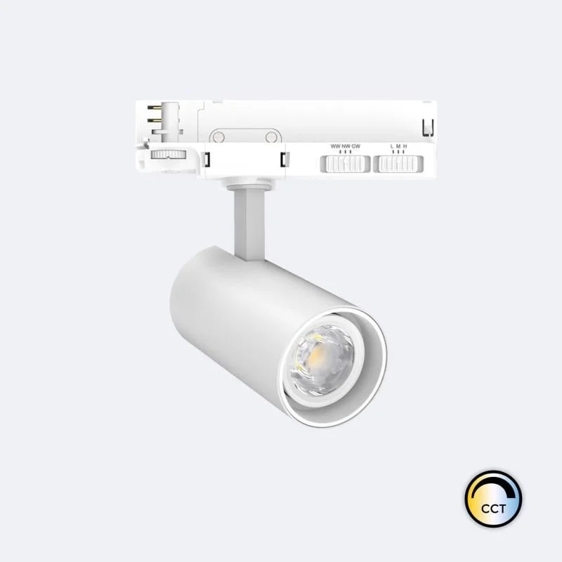 ledkia202606081904303318941