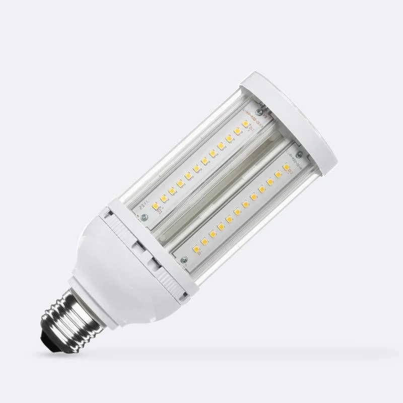 ledkia202606081907263319584