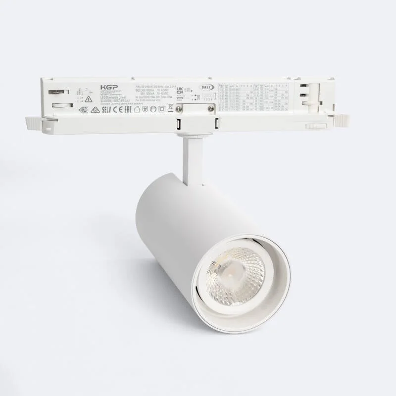 ledkia202606081908153319781