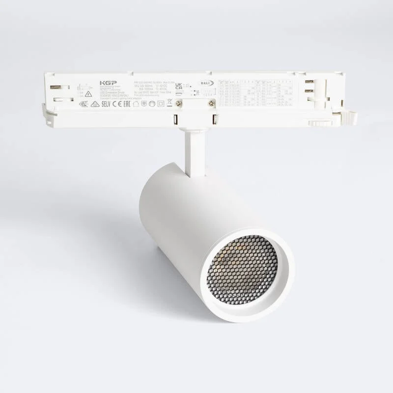 ledkia202606081909263320045