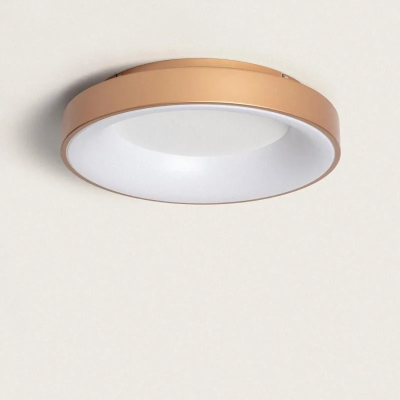ledkia202606081916013321474