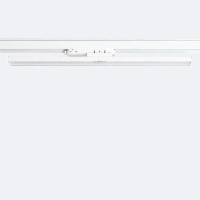 ledkia202606081917363321830