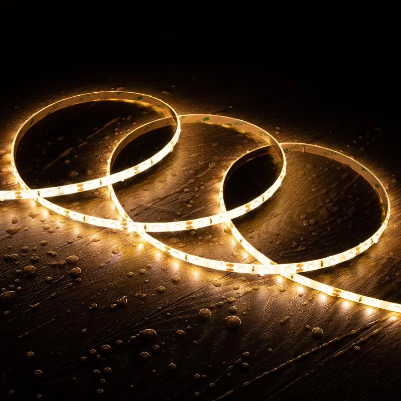 ledkia202606081924443323378