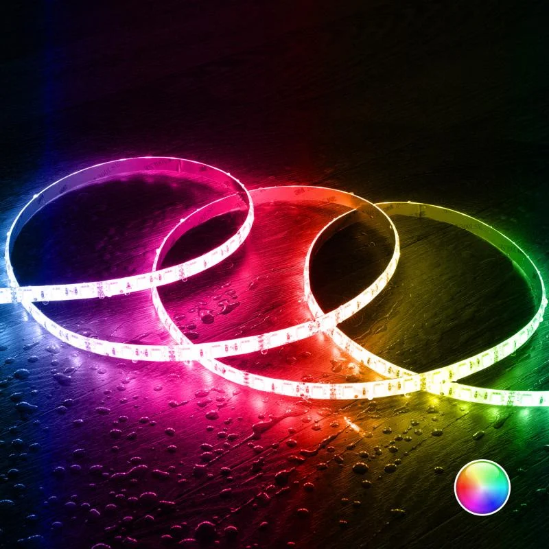 ledkia202606081925113323474