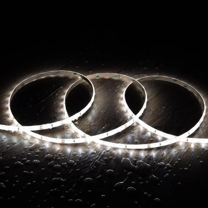 ledkia202606081927423324012
