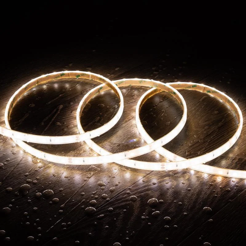 ledkia202606081927553324061