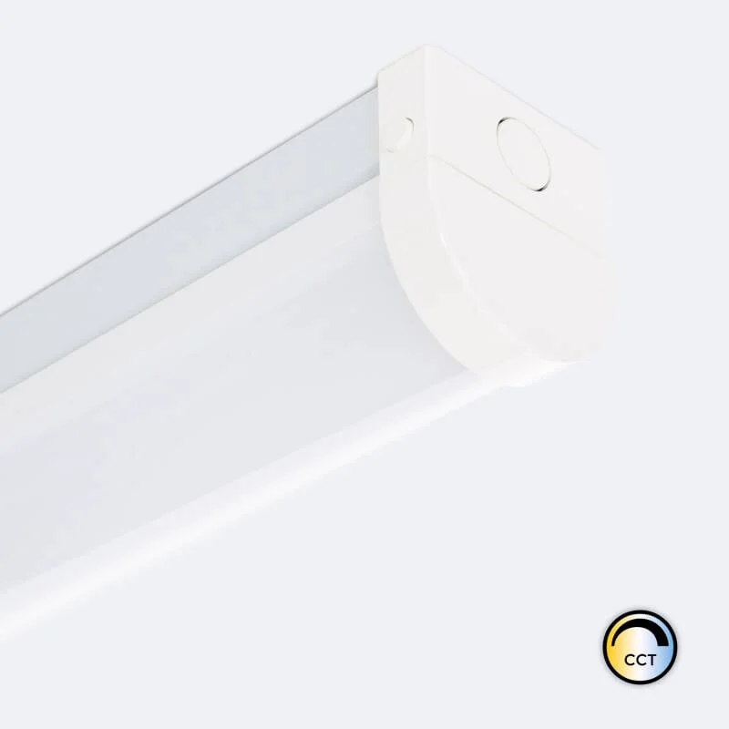 ledkia202606081931523324928