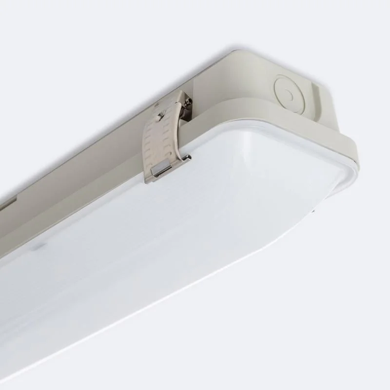 ledkia202606081934083325403