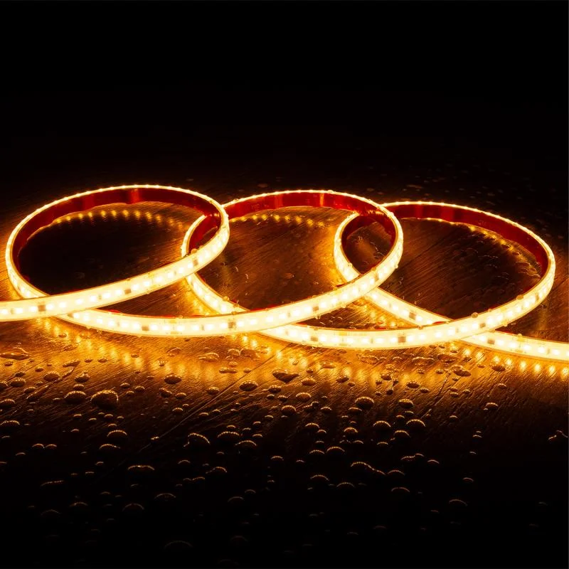 ledkia202606081940213326811