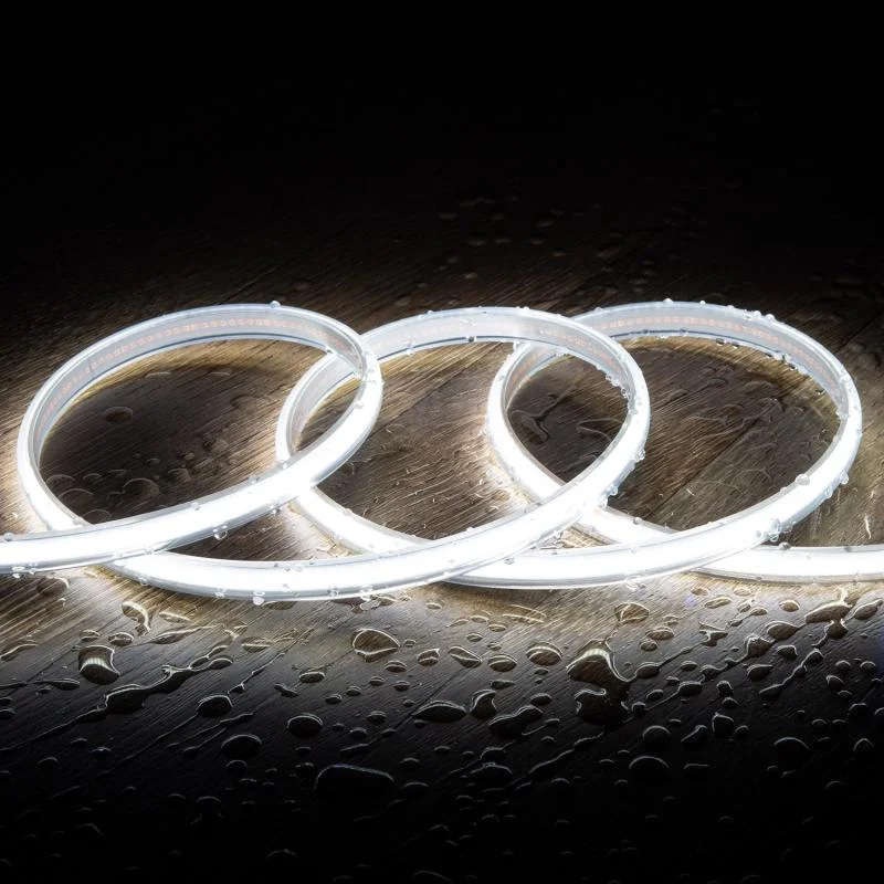 ledkia202606081940503326895