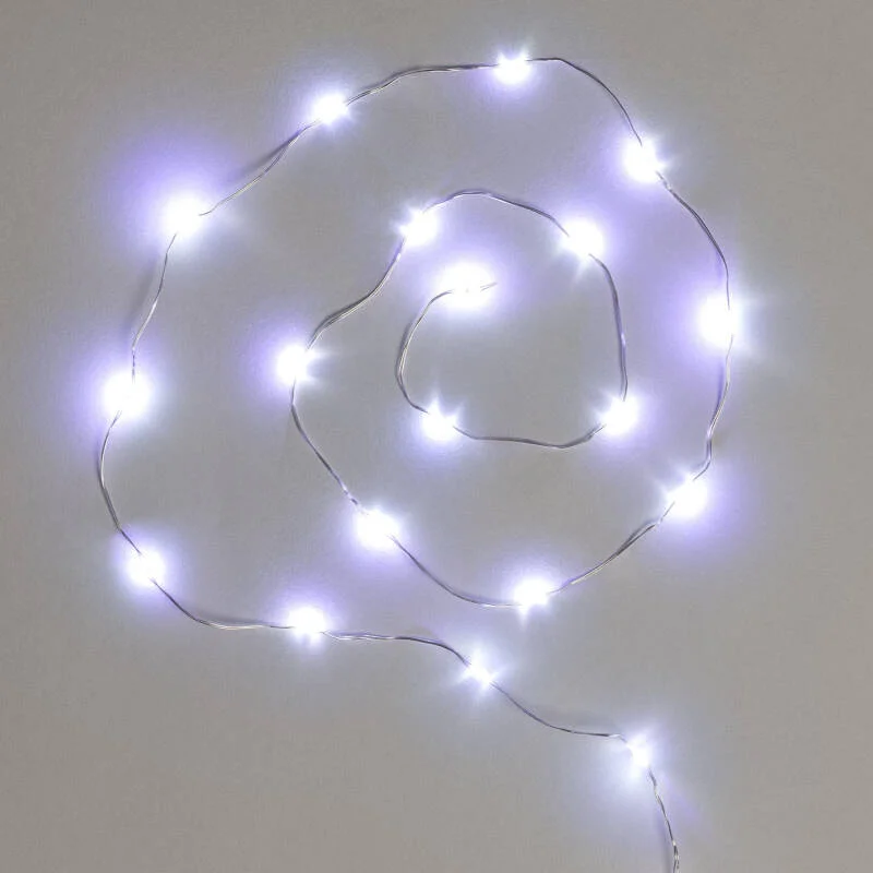 ledkia202606081944433327568