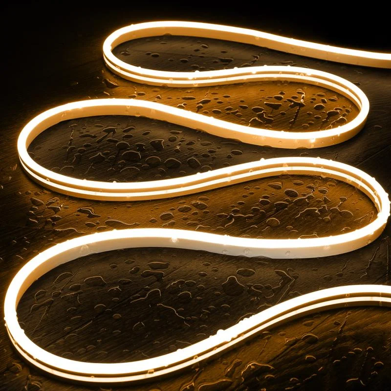 ledkia202606081947503328094