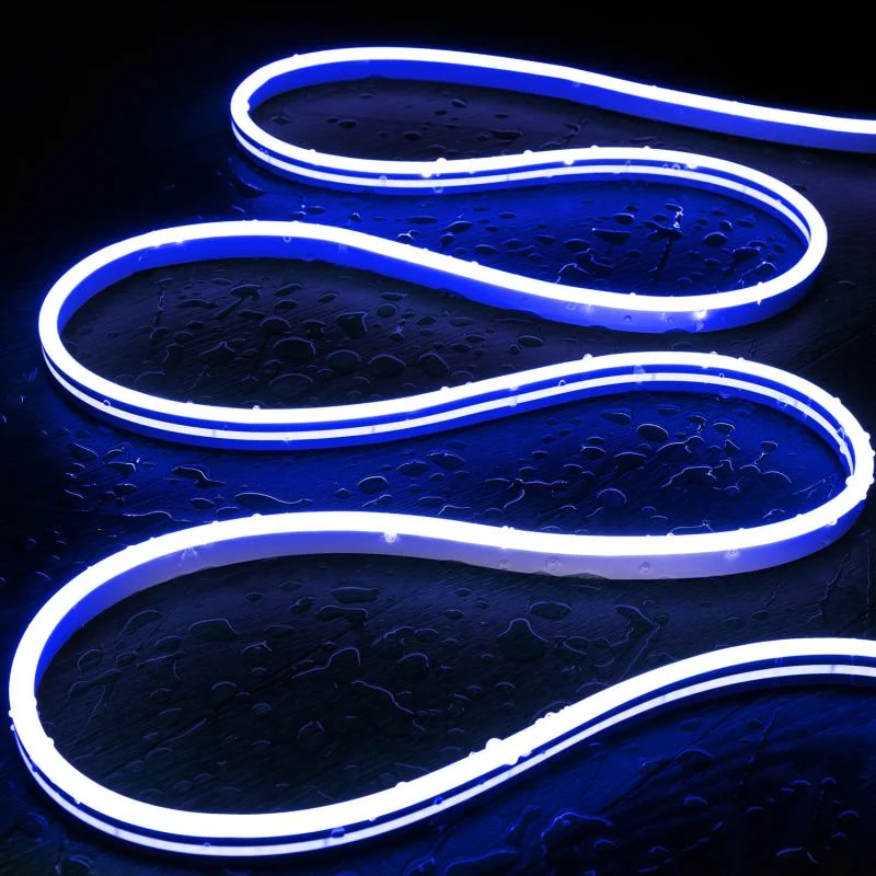 ledkia202606081948133328154