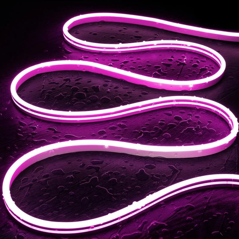 ledkia202606081948193328174