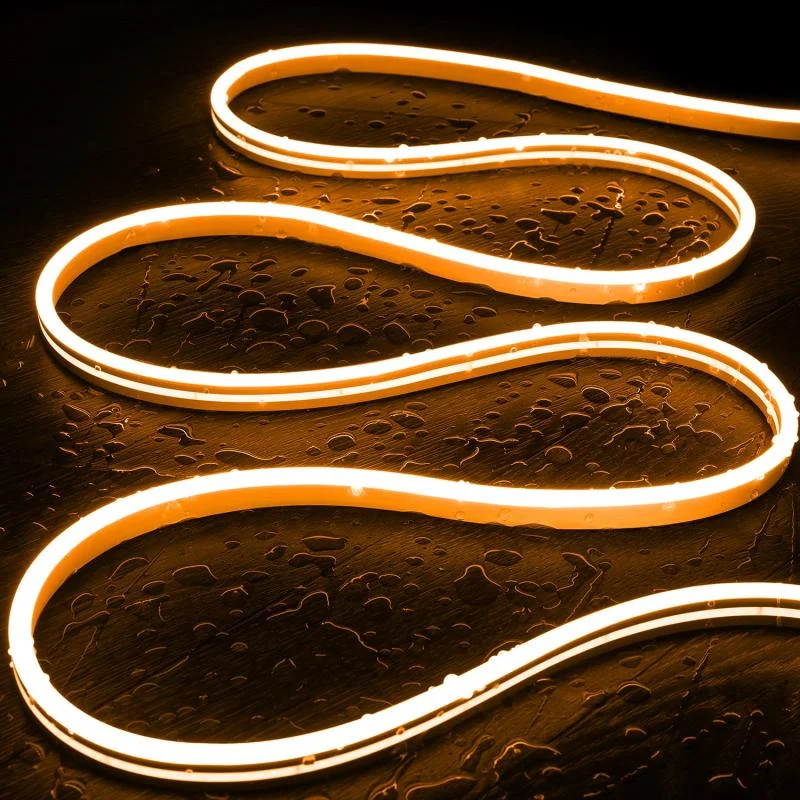 ledkia202606081948203328176