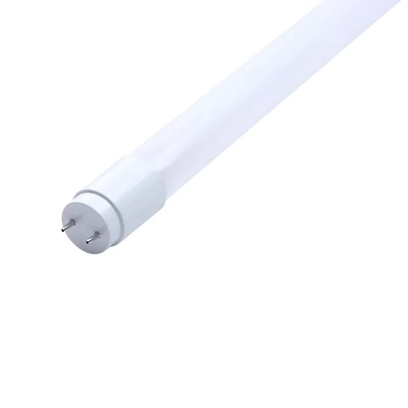 ledkia202606081954213329095