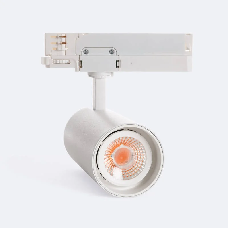 ledkia202606082007233331041