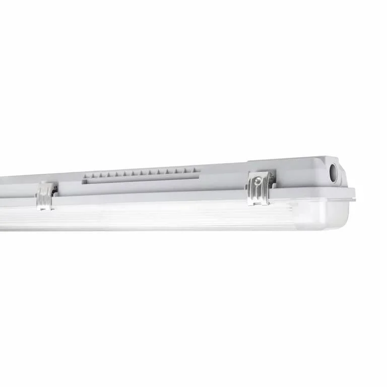 ledkia202606082007523331112