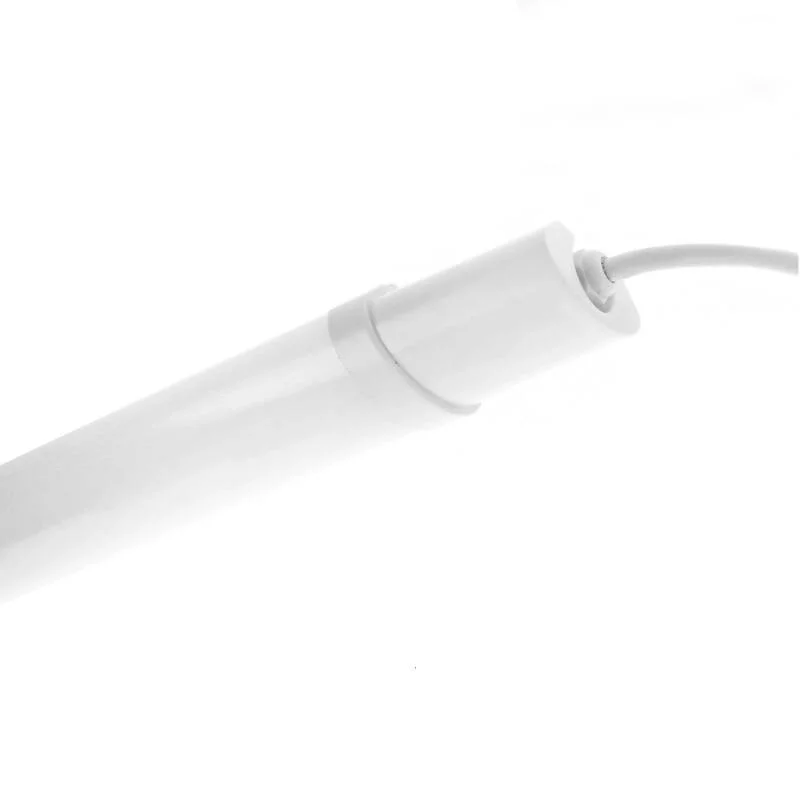 ledkia202606082007593331128