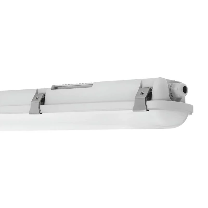 ledkia202606082008073331146