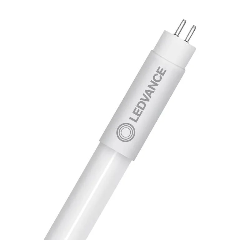 ledkia202606082008253331184