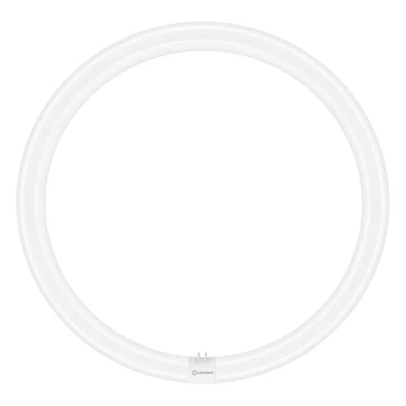 ledkia202606082010013331407