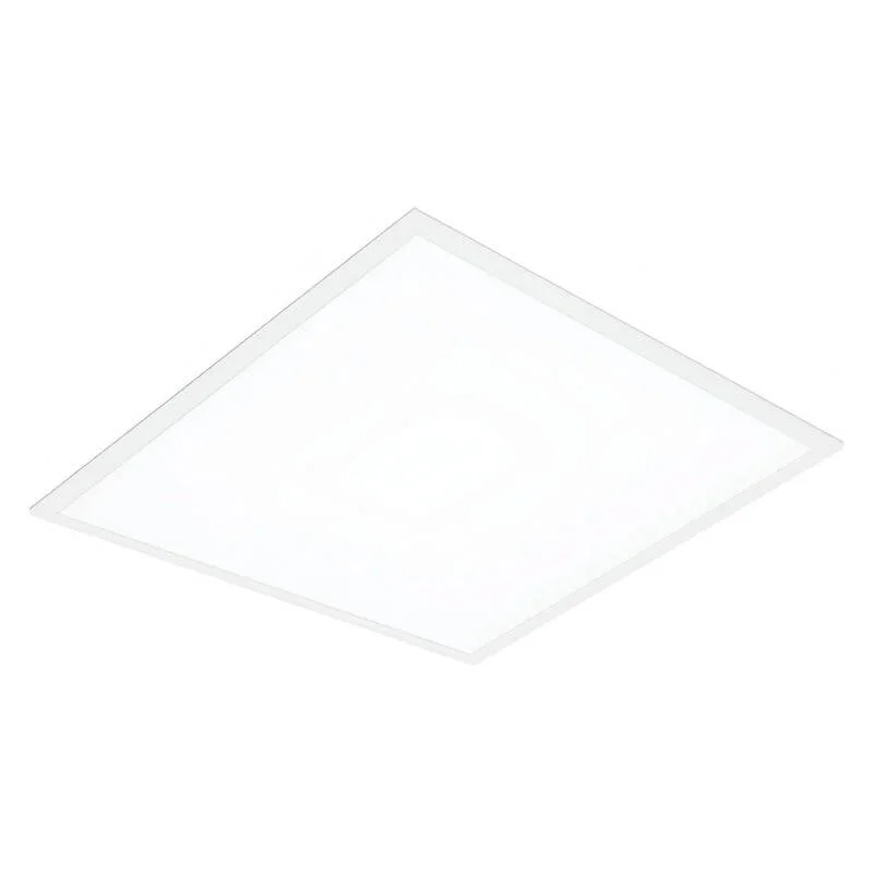 ledkia202606082010543331504