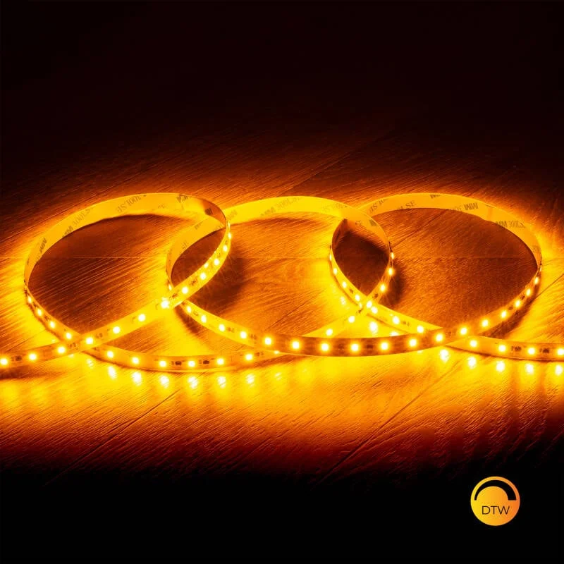ledkia202606082011433331589