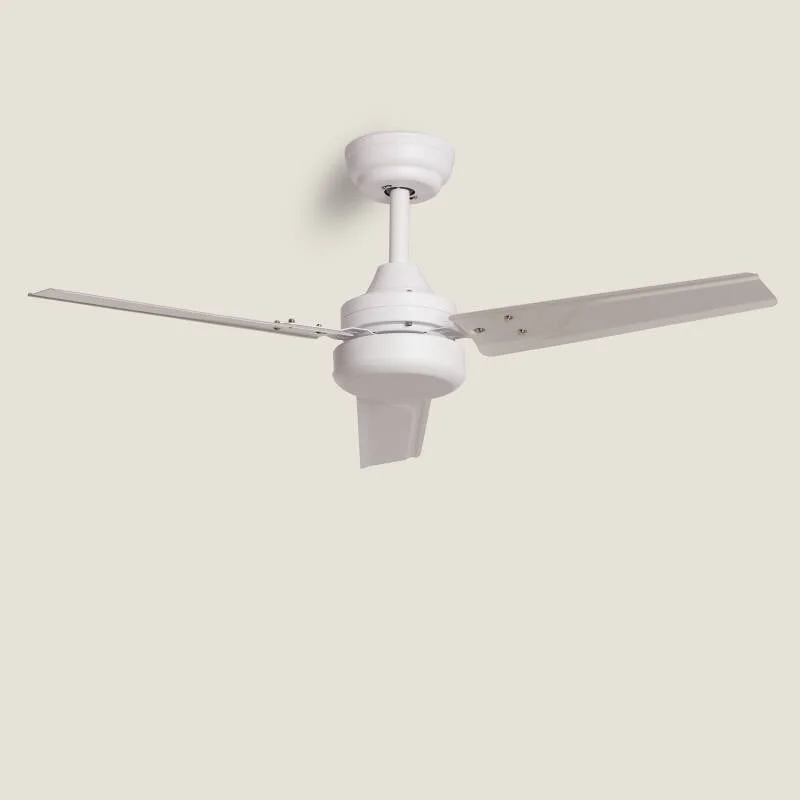 ledkia202606082012123331648