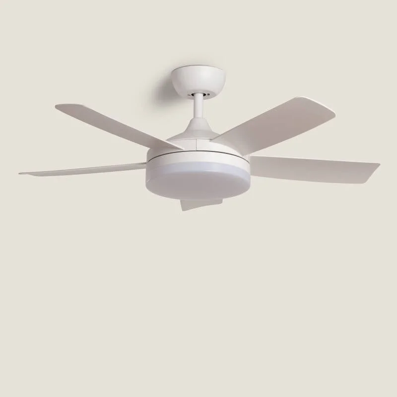 ledkia202606082012183331659