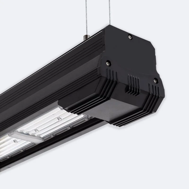 ledkia202606082014163331881