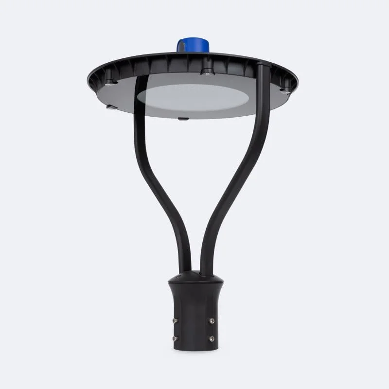 ledkia202606082018143332368