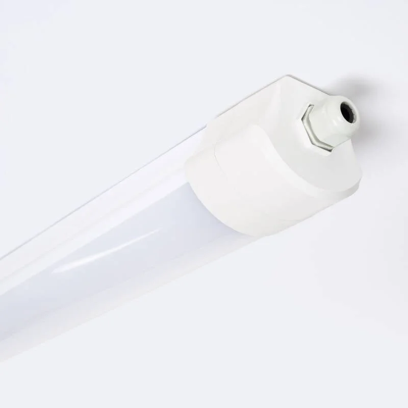 ledkia202606082018533332451