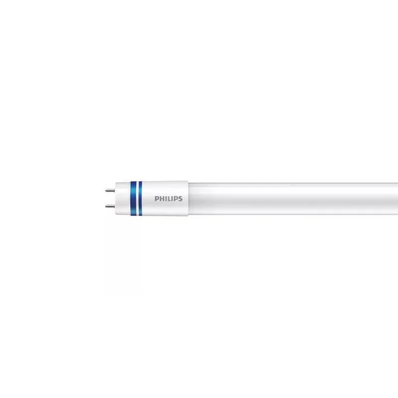 ledkia202606082026543333616