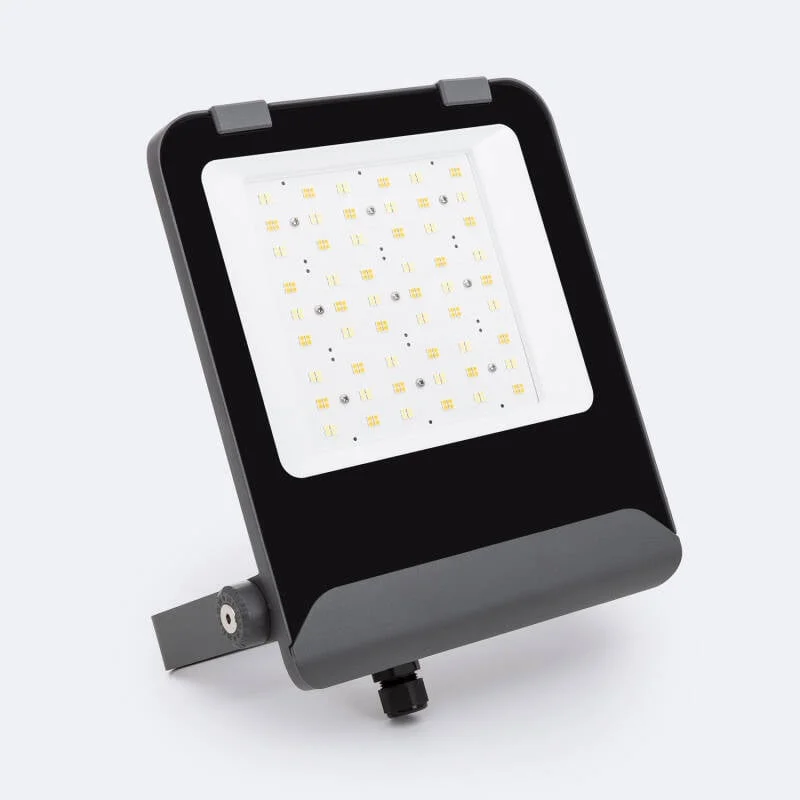 ledkia202606082039493335386