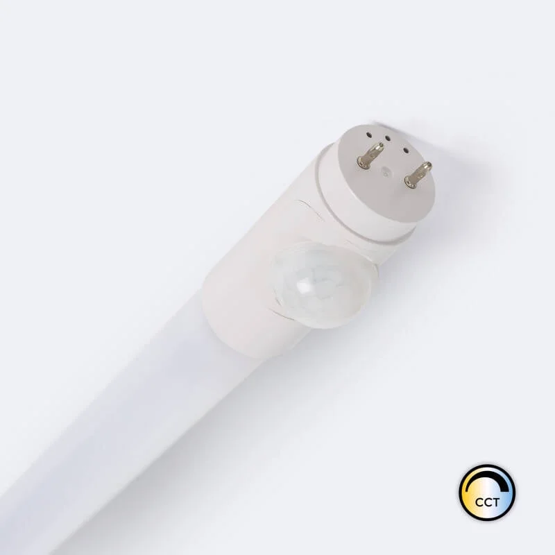 ledkia202606082043083335827