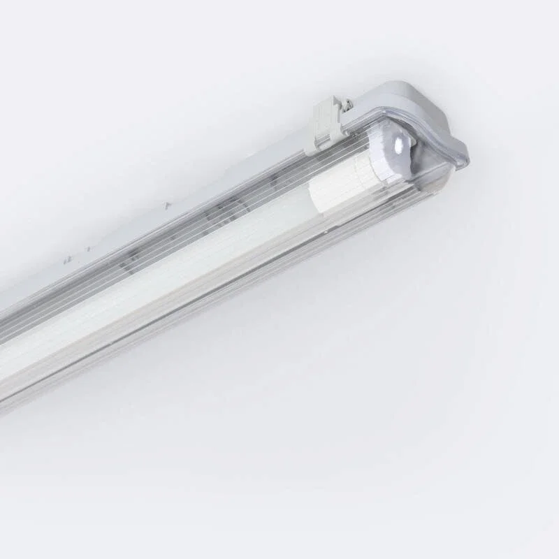 ledkia202606082043403335894
