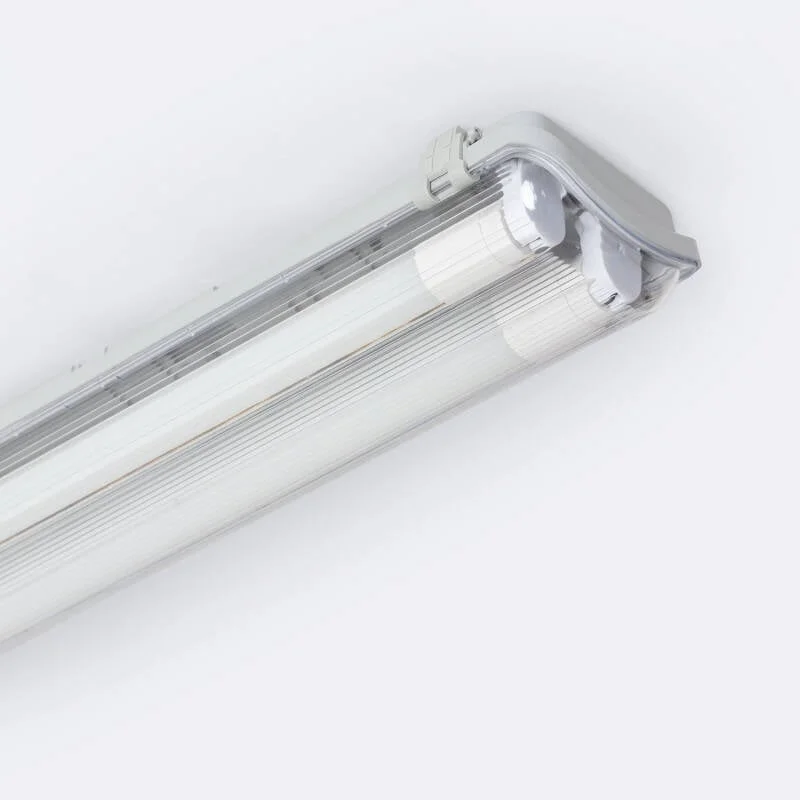 ledkia202606082043513335919