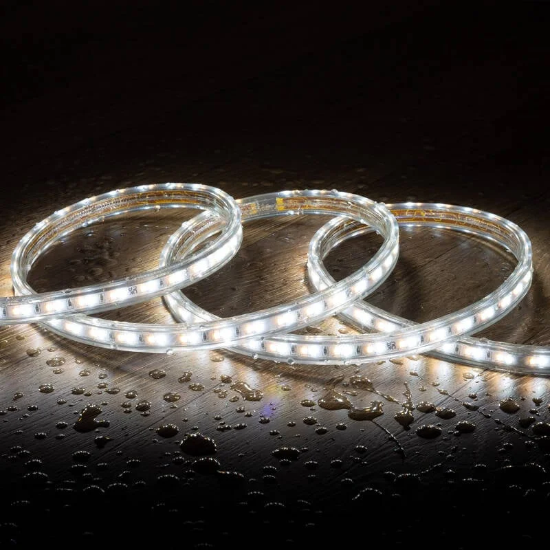 ledkia202606082048263336494