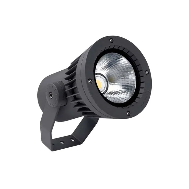 ledkia202606082054543337322