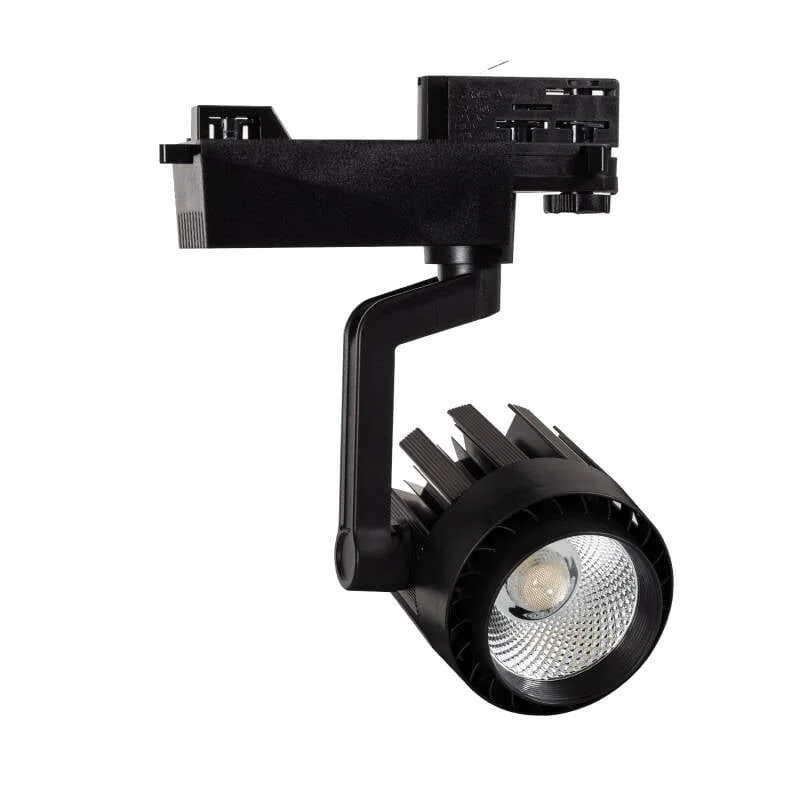 ledkia202606082056123337498