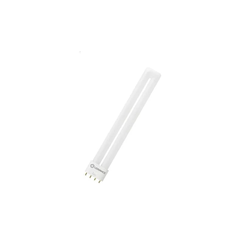 ledkia202606082105343338584