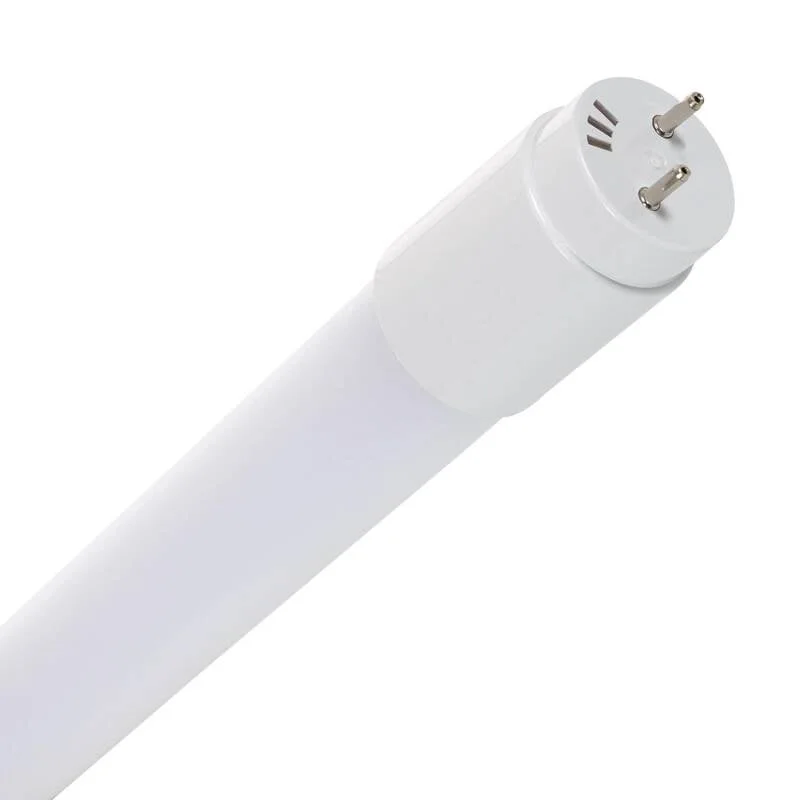 ledkia202606082109493339106
