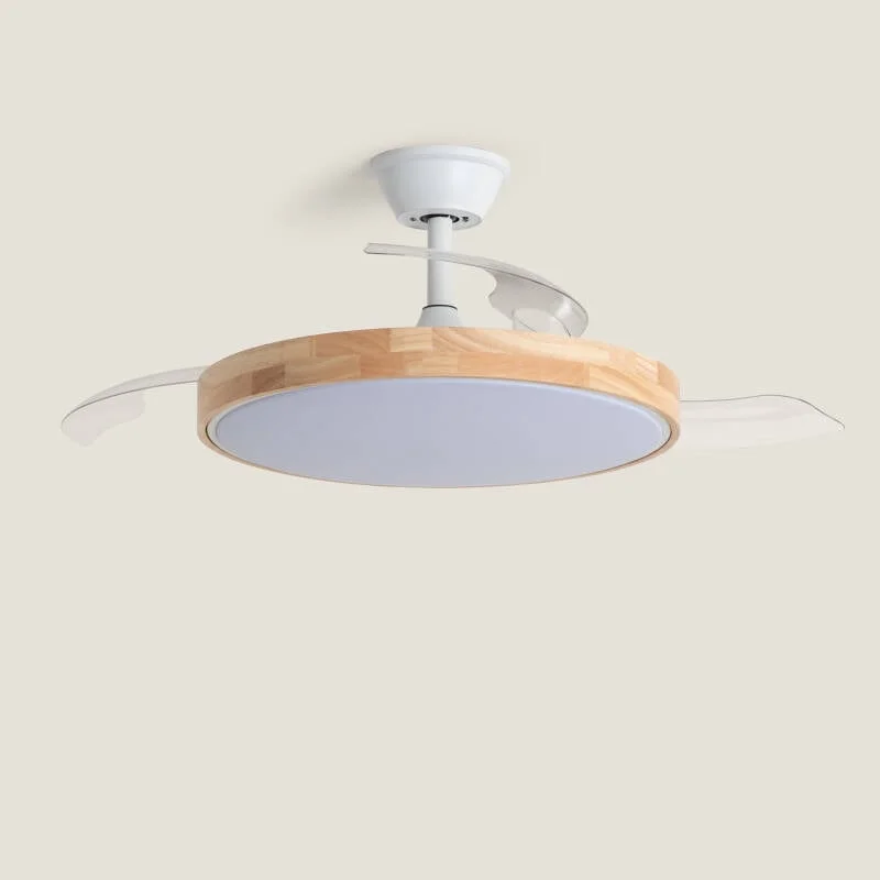 ledkia202606082114203339691