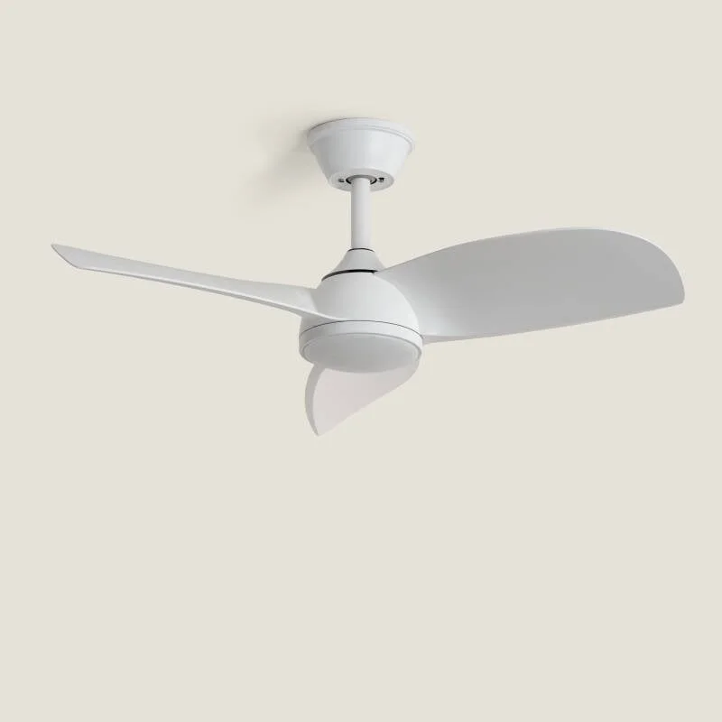 ledkia202606082114353339725