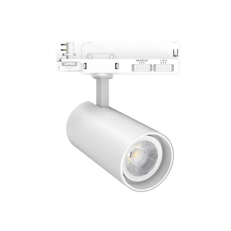 ledkia202606082114353339728