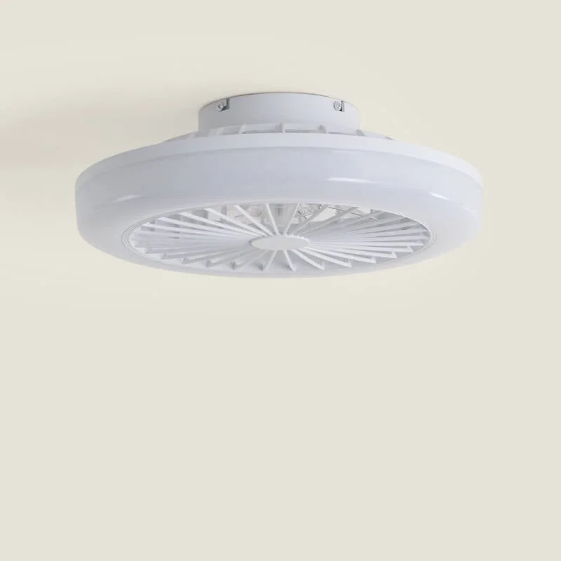 ledkia202606082114503339766